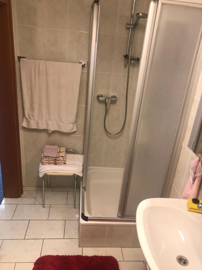 1-Zimmer Apartment, 45 Qm, Im Weinort Neustadt-Duttweiler Нойштадт-ан-дер-Вайнштрасе Экстерьер фото