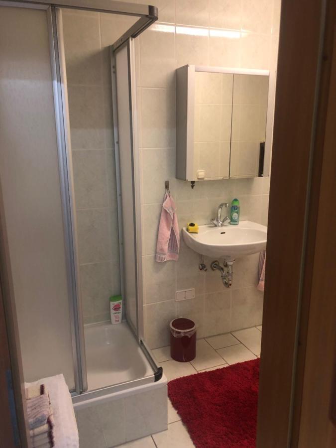1-Zimmer Apartment, 45 Qm, Im Weinort Neustadt-Duttweiler Нойштадт-ан-дер-Вайнштрасе Экстерьер фото