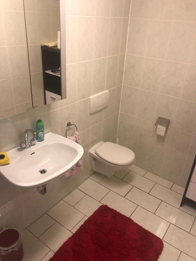 1-Zimmer Apartment, 45 Qm, Im Weinort Neustadt-Duttweiler Нойштадт-ан-дер-Вайнштрасе Экстерьер фото